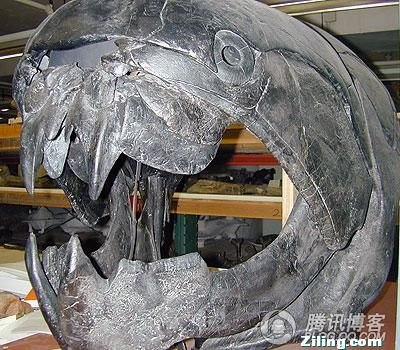  p>邓氏鱼(dunkleosteus terrelli),是一种活于泥盆纪时代(距今约3.