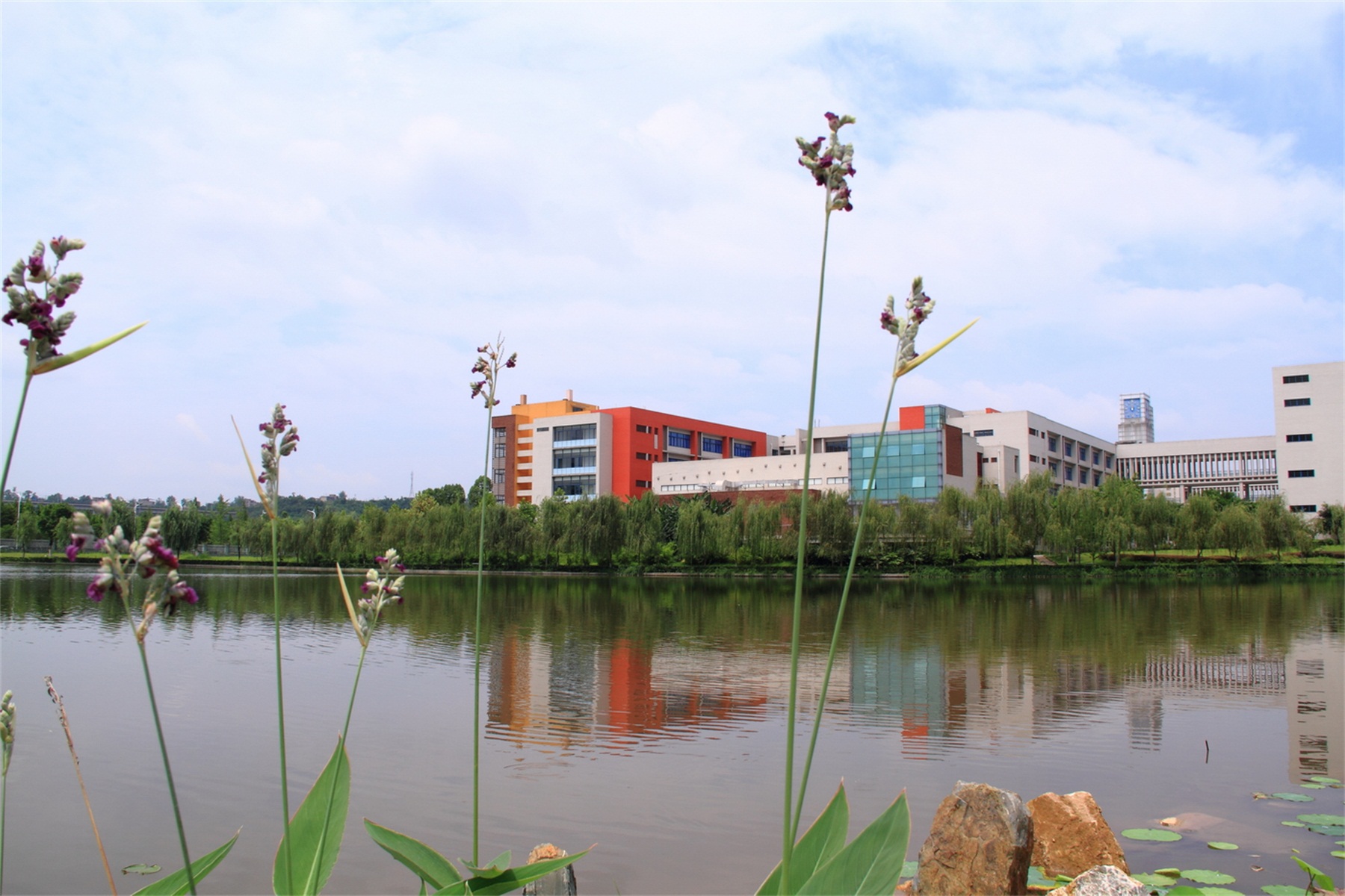 重庆职业工商学院