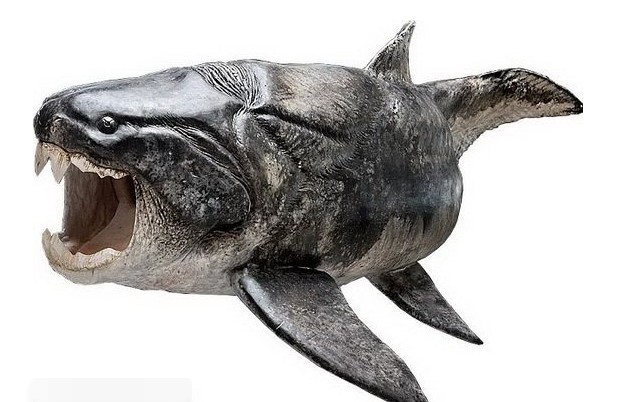 target="_blank" href="/item/盾皮鱼纲/7309594" data