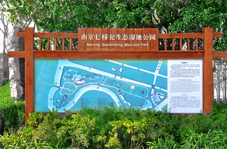 南京七桥瓮湿地公园
