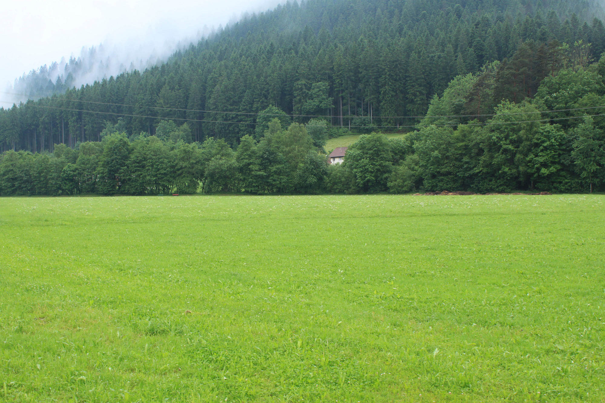  p>草毡土,密生高山矮草草甸的湿润土体,分布于原面平缓山坡,表层有厚