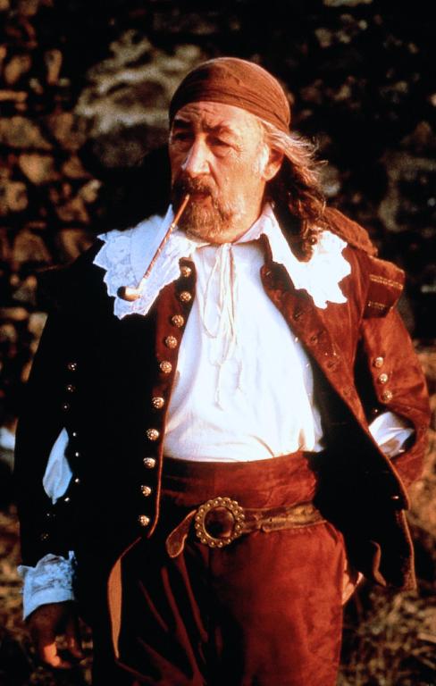  /p> p>《豪情玫瑰》讲述了一个老火枪手的女