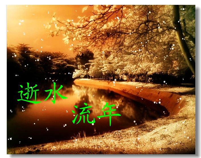 逝水流年文学社团