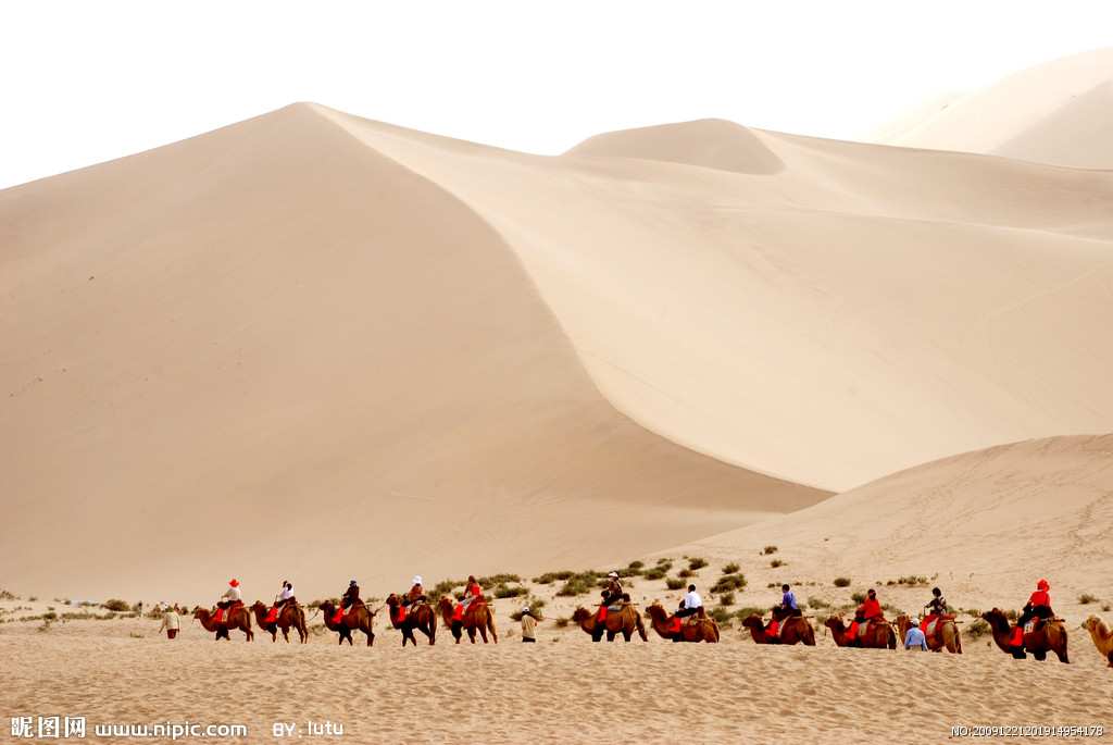  p>野骆驼(学名: i>camelus ferus /i>)巨大的 a target="_blank"