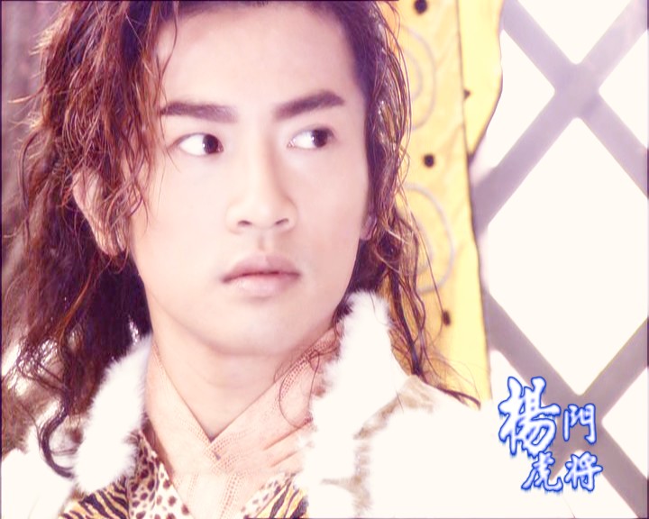 《杨门虎将》是2004年由华新影视和北京天中文化联手制作的33集古装