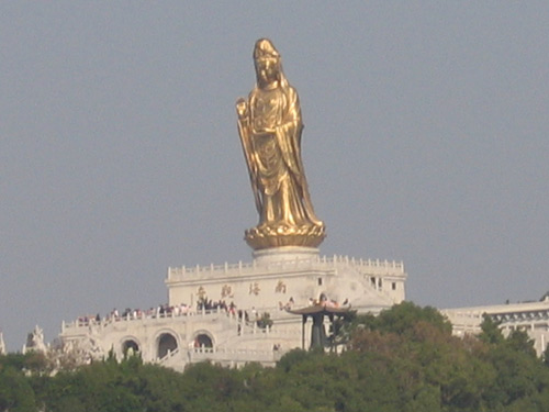 不肯去观音院