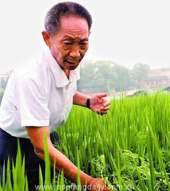 袁隆平