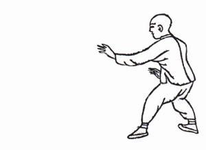 宋氏形意拳（起源于中国的武术拳法）_百度百科