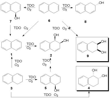  p>1,2,3,4-四氢化萘是一种无色液体,有刺激气味. /p>
