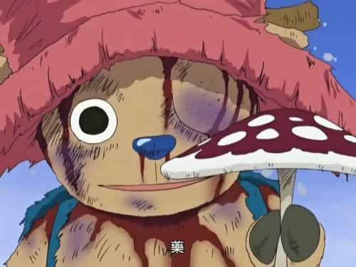 航海王剧场版9乔巴身世之谜:冬季绽放,奇迹的樱花