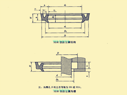 图2 SDR型防尘圈的结构及沟槽