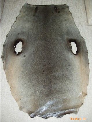 可以在水 中起到保暖作用,海狮科动物皮下的脂肪层一般比海豹动物要薄