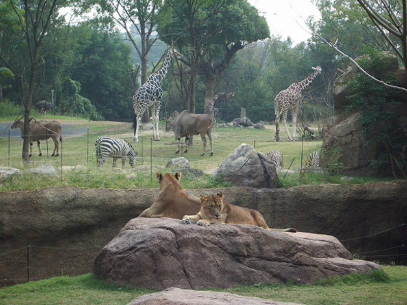 天王寺动物园