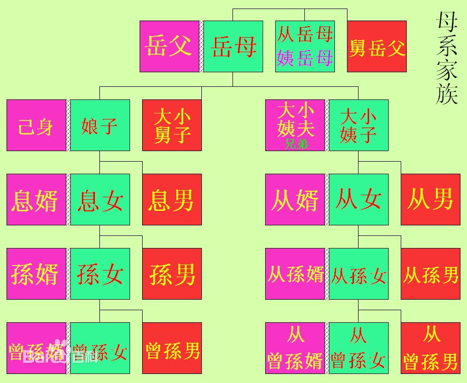 中国人亲属称谓系统
