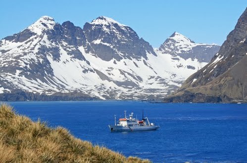  p>南乔治亚岛约160 a href="#">千米 /a>长,32千米宽早已成为地球上