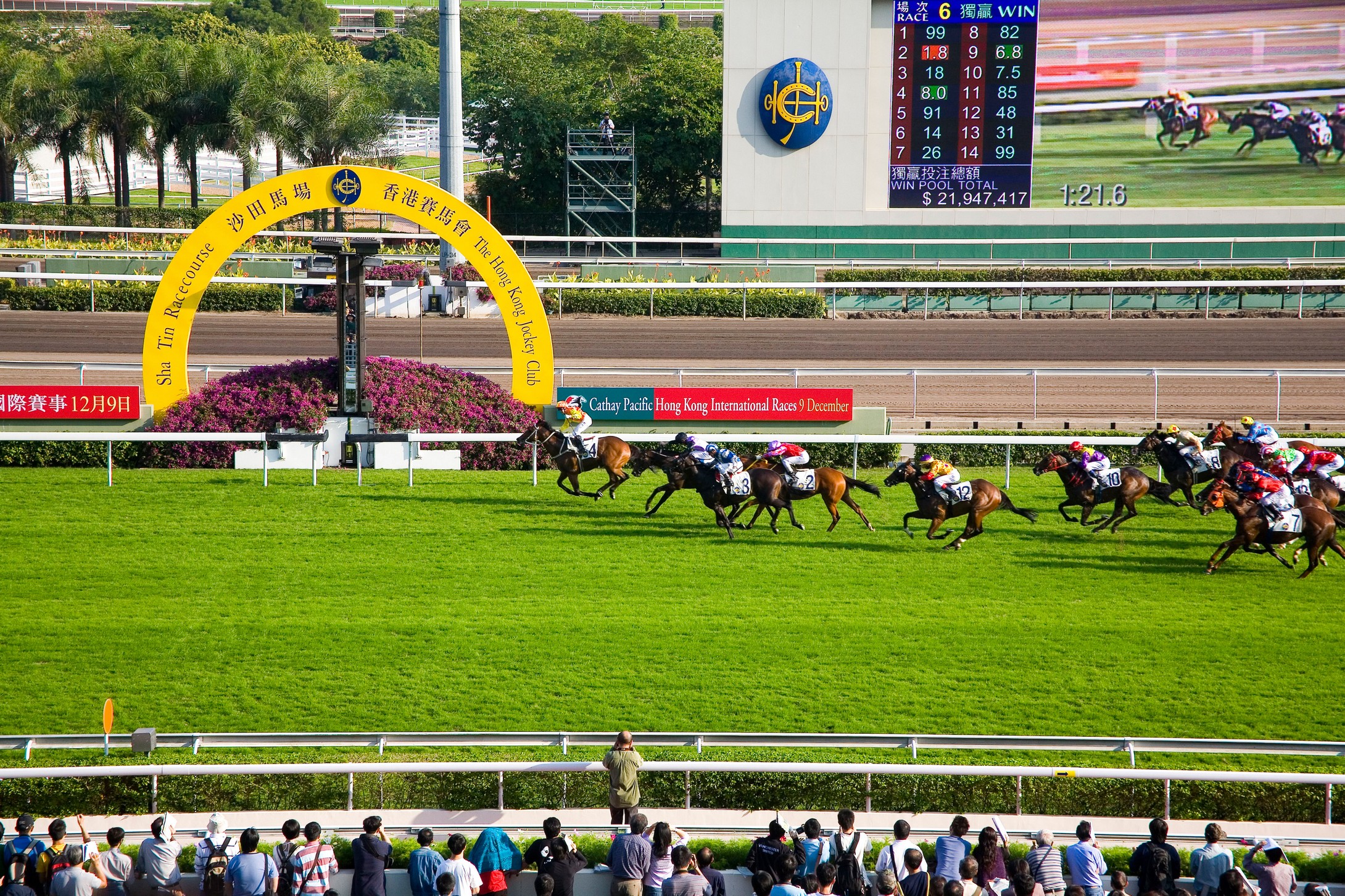 香港奥运赛马场