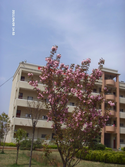 宣威市第三中学