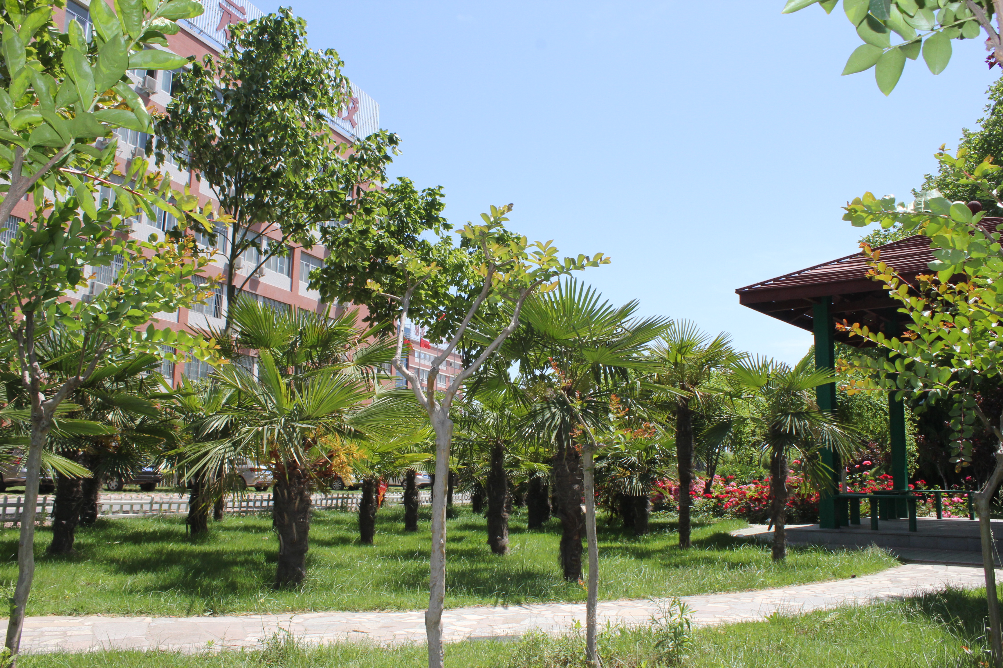  p>郑州交通技师学院,始建于1979年,现由郑州市劳动和社会保障局主管
