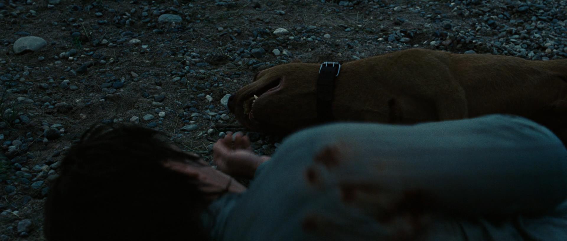 (no country for old men)是派拉蒙出品的一部时装西部电影,改编自戈