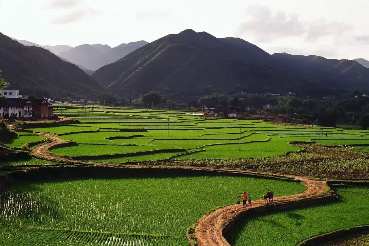  p> span class="ref" data-ctrid="shatshafrmvq">和平县,广东省 