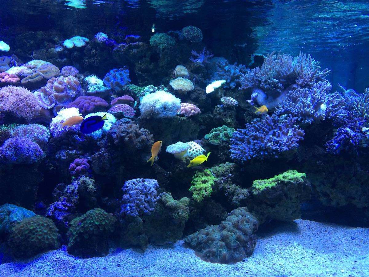 2亿元人民币,由极地海洋馆,科教馆,水上乐园,儿童乐园等7大功能区组成