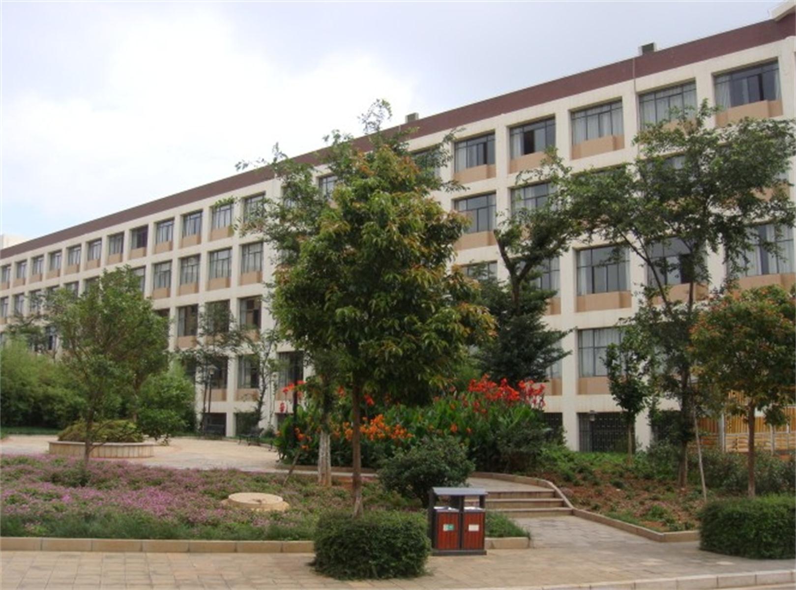  p>云南科技信息职业学院(yunnan vocational college of science and
