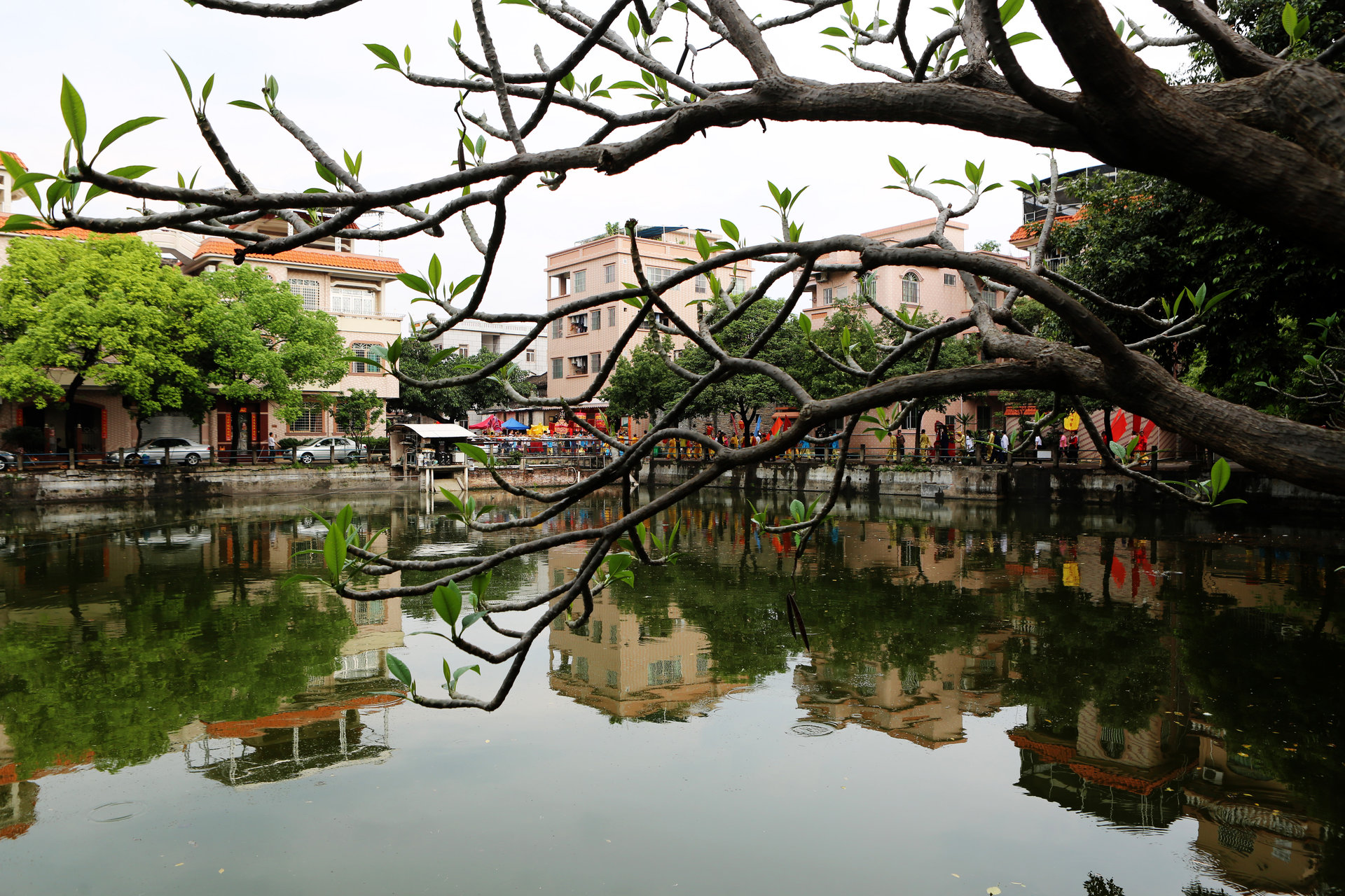 佛山乐从水利风景区