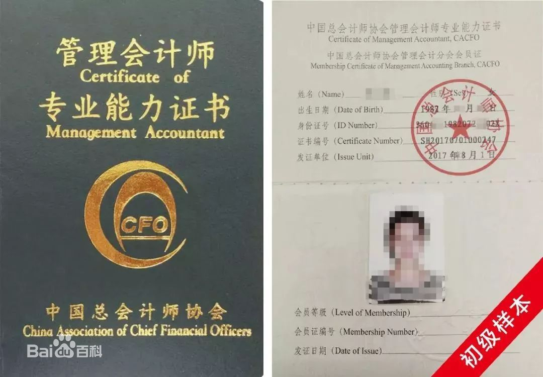 中国管理会计师