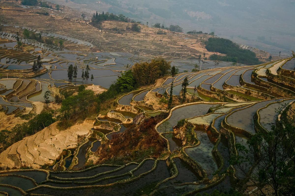 位于云南省红河州 a target="_blank" href="/item/元阳县/1207860"