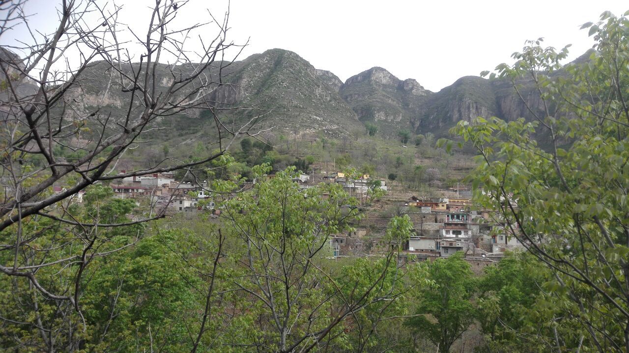 p>宅清沟村,位于河北省邯郸市武安市活水乡,有500多年历史(始于明末