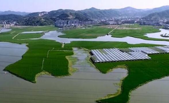  p data-id="gnwzea7sv7">龙溪镇,隶属于浙江省台州市玉环市,地处 a