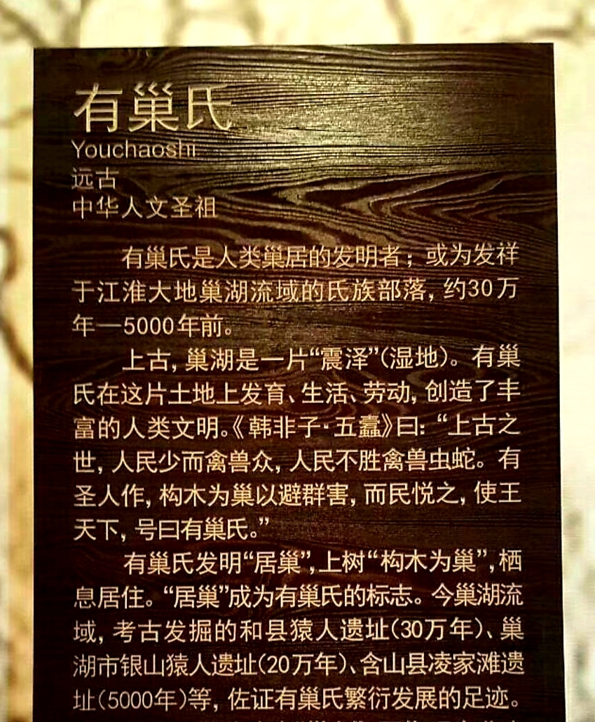  p> b>有巢氏 /b>,简称"有巢"或"巢",号"大巢氏", a target="_blank"