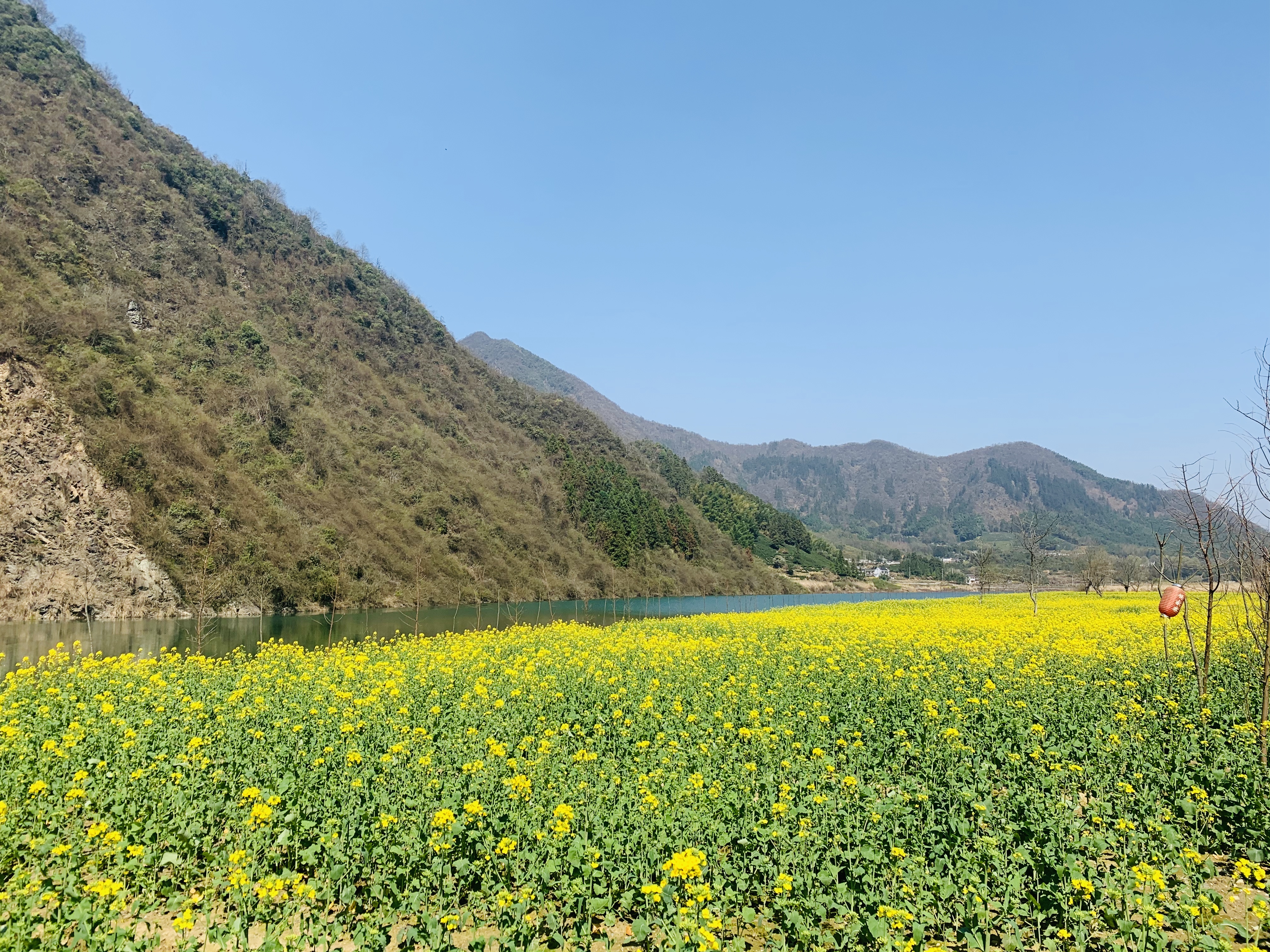 杨家寨