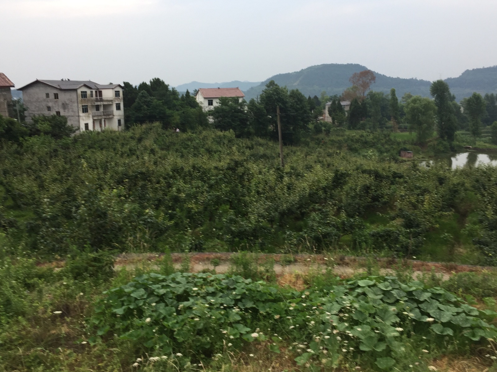  p data-id="gnhecycmx8">元山镇,隶属于四川省巴中市平昌县,地处平昌