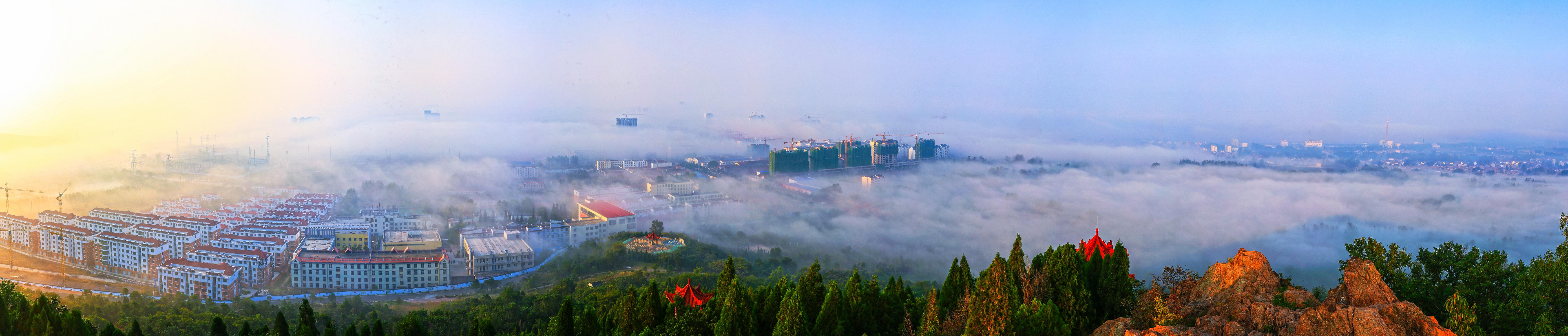 包含莒南网站建设哪个专业的词条