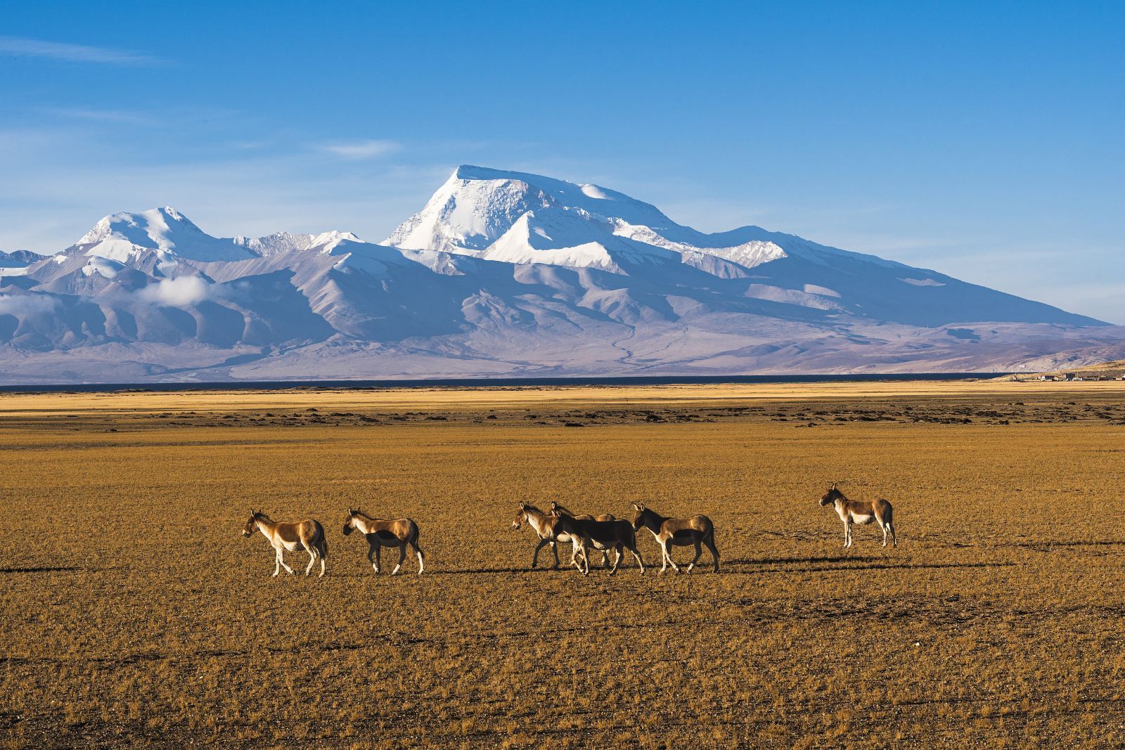 阿里神山圣湖旅游区