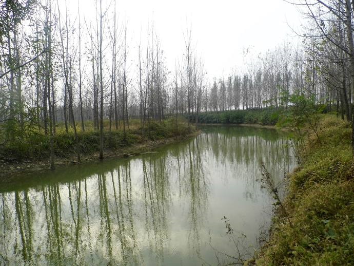  p>小汶河,1979年,小汶河改称汶宁新河,但习惯上