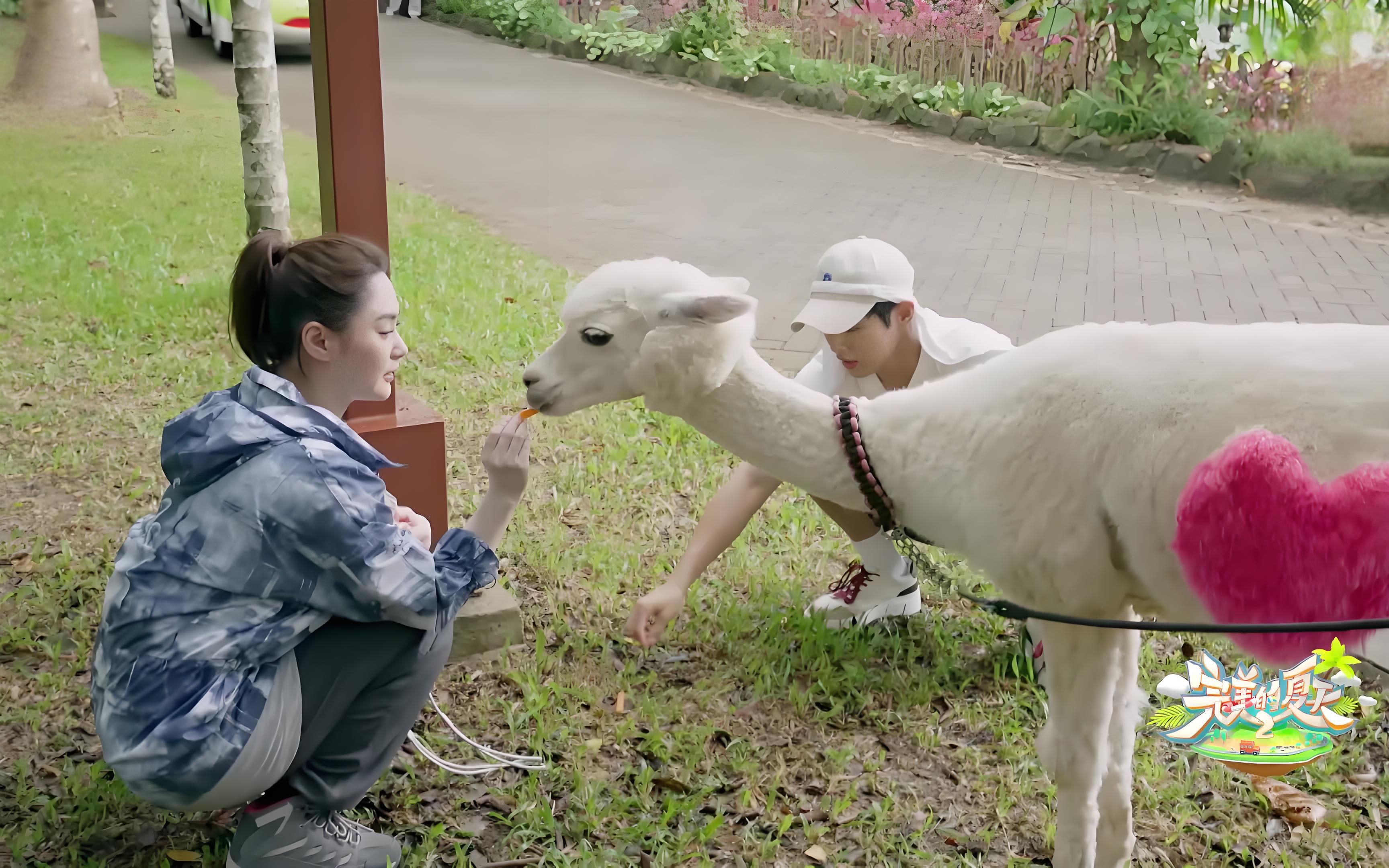 完美的夏天第二季