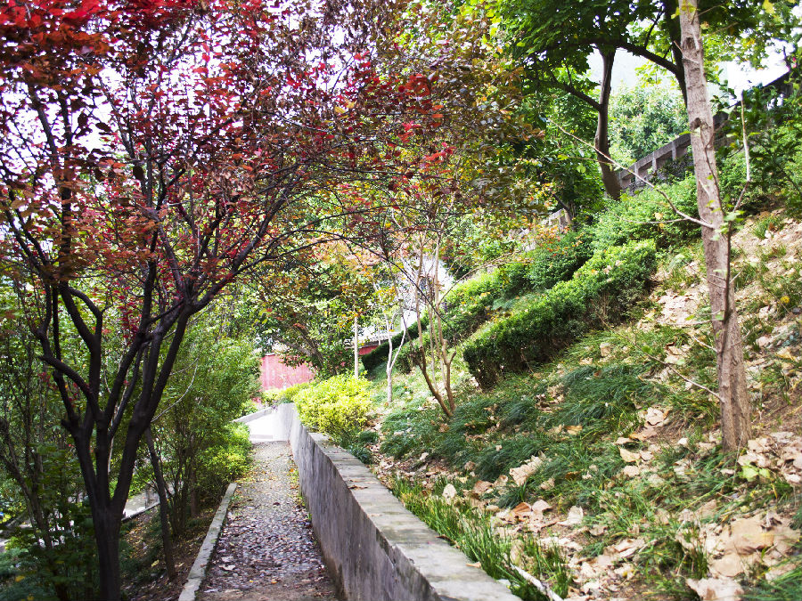  p>龙洞镇,隶属于重庆市云阳县,地处 a href="#" data-lemmaid="