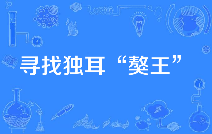 寻找独耳"獒王"