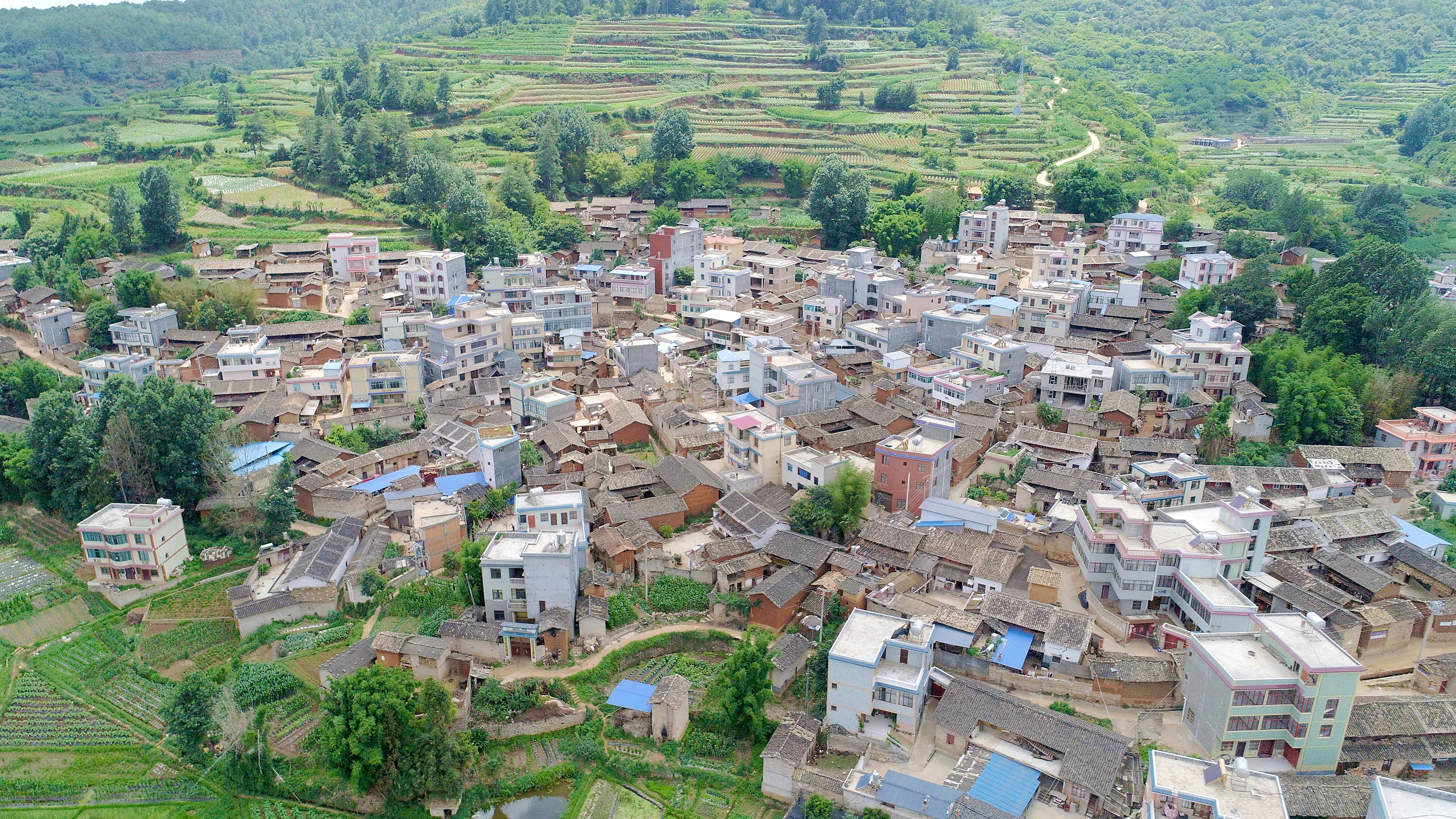  p>禄劝彝族苗族自治县九龙镇树渣村委会鲁筷村,属于坝区,距离村委会1