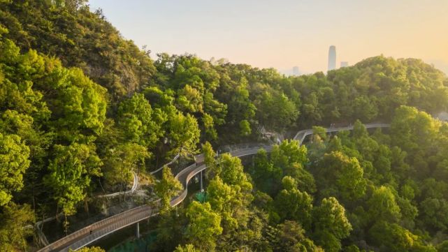 椒江白云山云中绿道