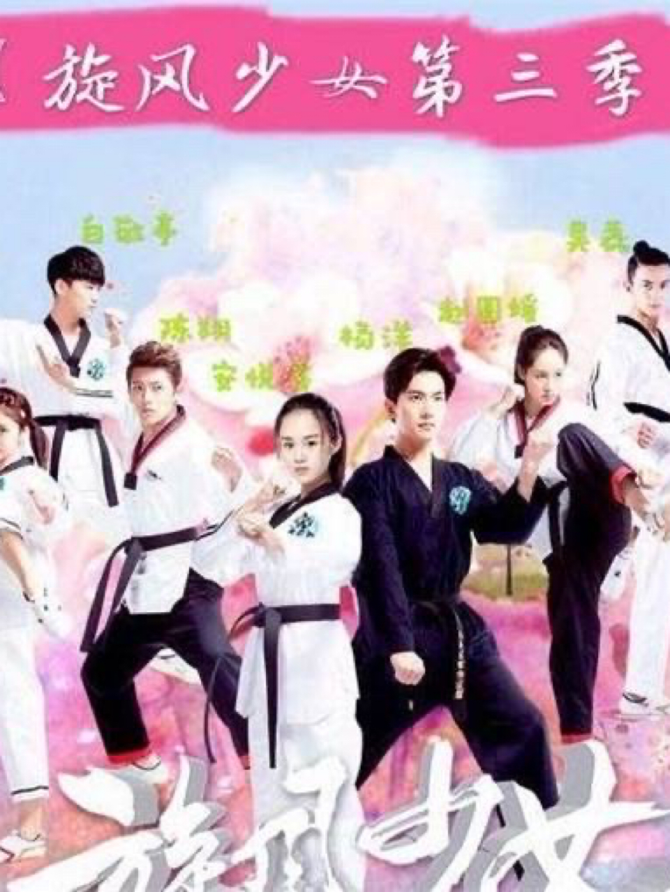 旋风少女3百草归来