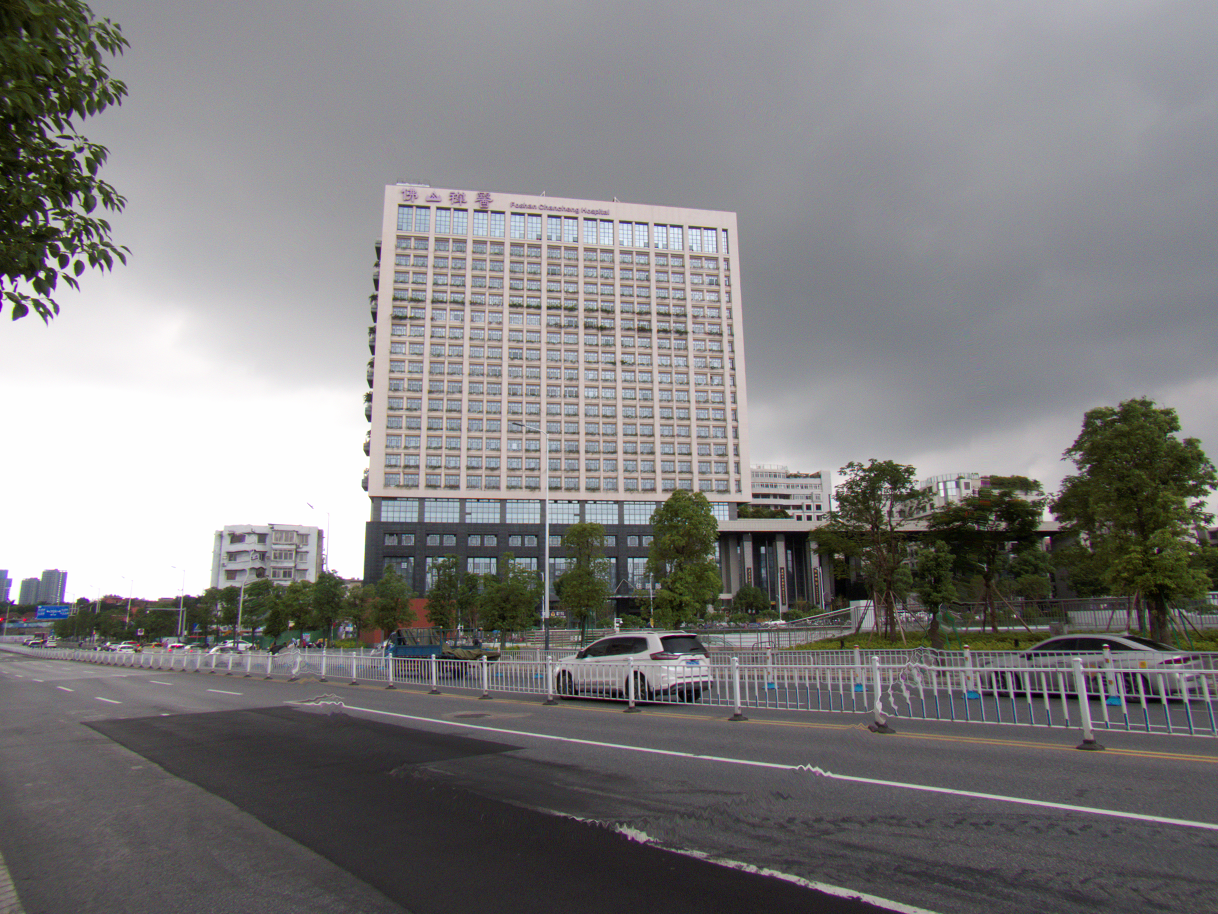 佛山市禅城区中心医院