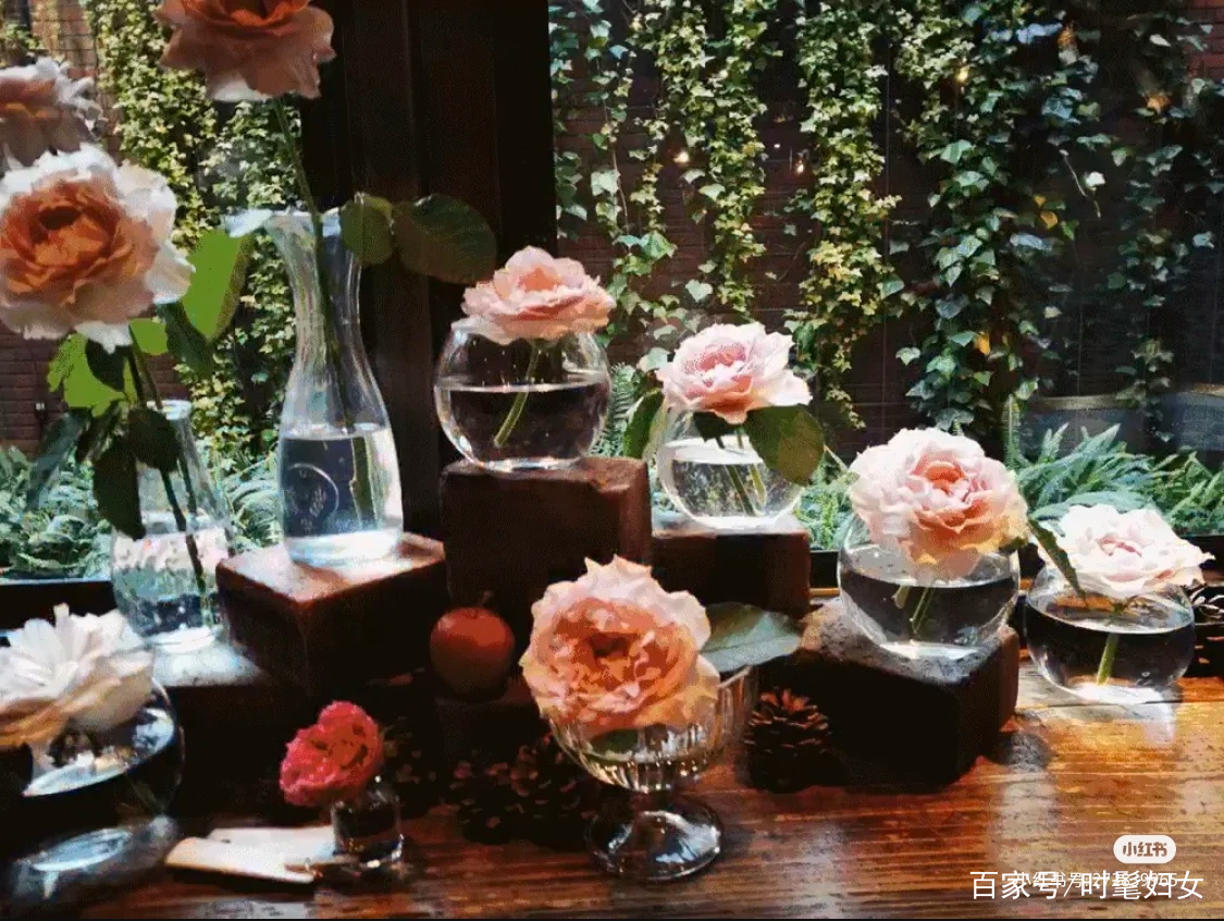 日本 表参道青山花店brunch点单指南 百科ta说