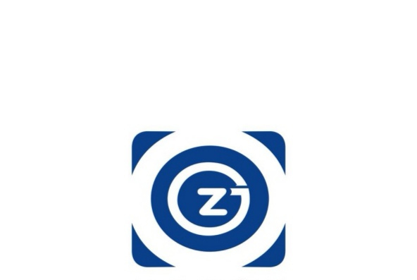 关于www.gzs.com的信息