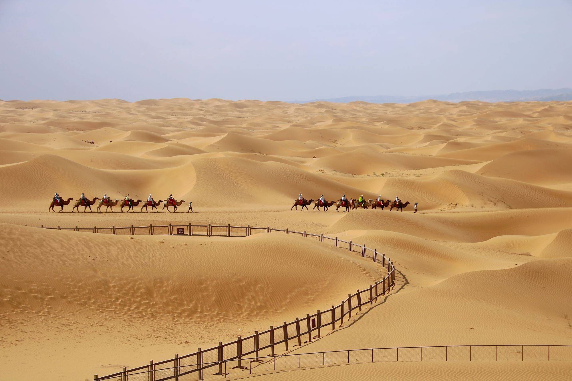 中卫沙坡头天气在线