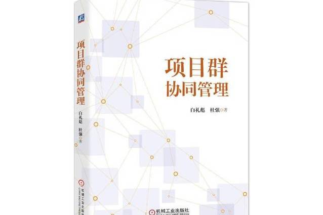 项目群协同管理