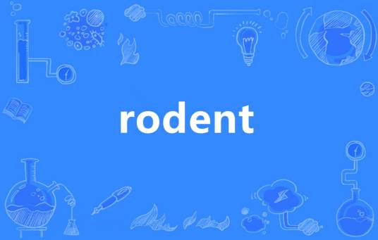 rodent（英语单词）_百度百科