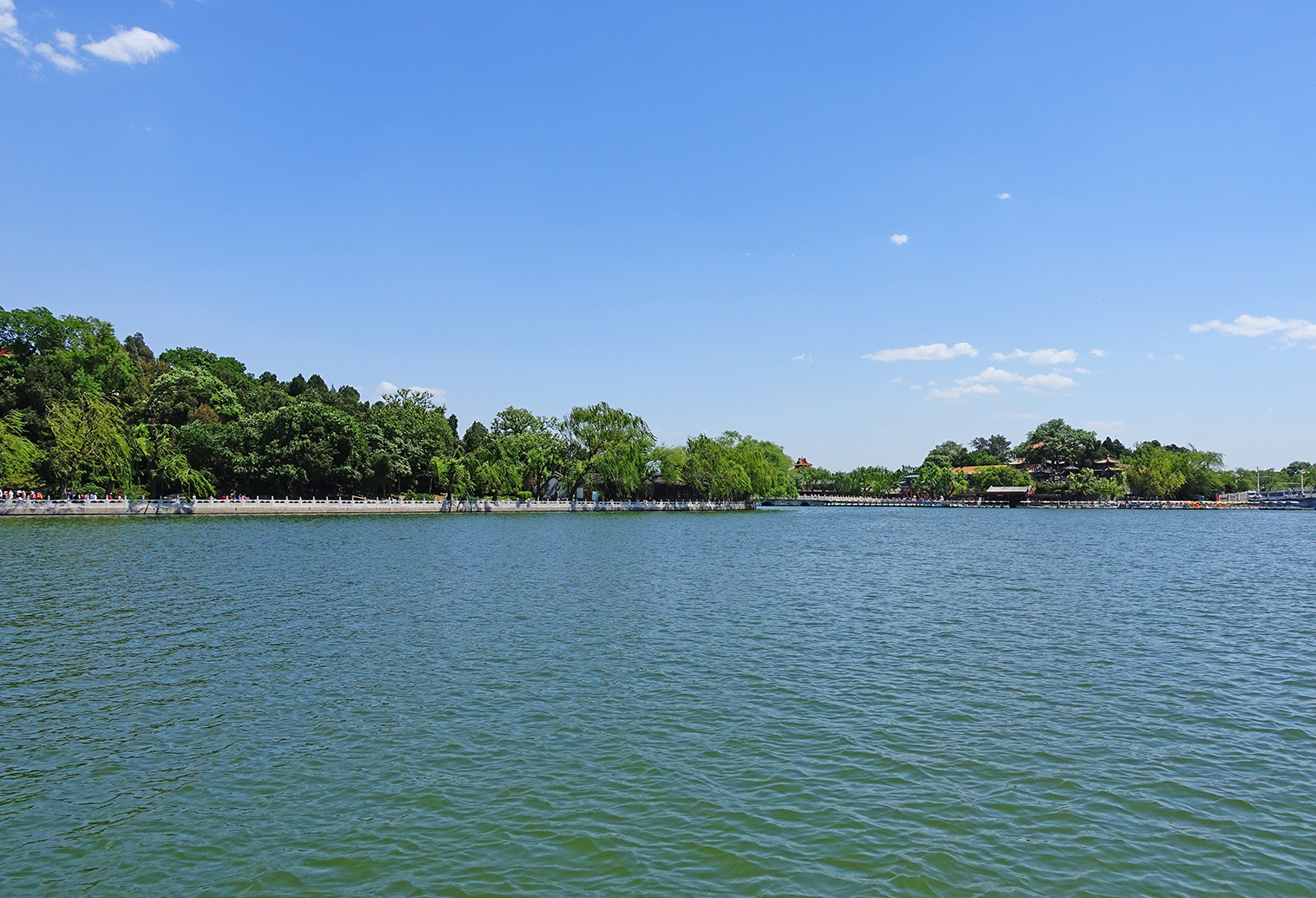 北海公园荷花展